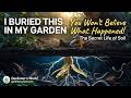 I Buried THIS in My Garden — You Won’t Believe What Happened