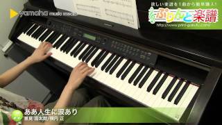 使用した楽譜はコチラ http://www.print-gakufu.com/score/detail/78195...