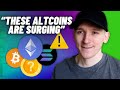 Best altcoins set for huge upside 2024