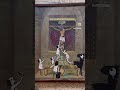 Robe iniesta d.e.p – urban art Barcelona, street art video Barcelona, arte urbano Barcelone