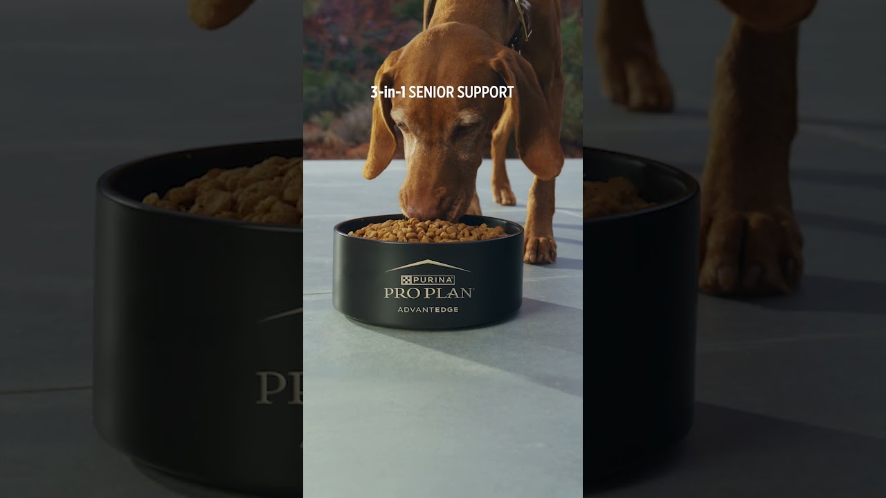 Pro Plan AdvantEDGE Senior Support+ Dog Food 
