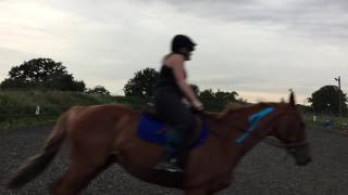 Flatwork Raw