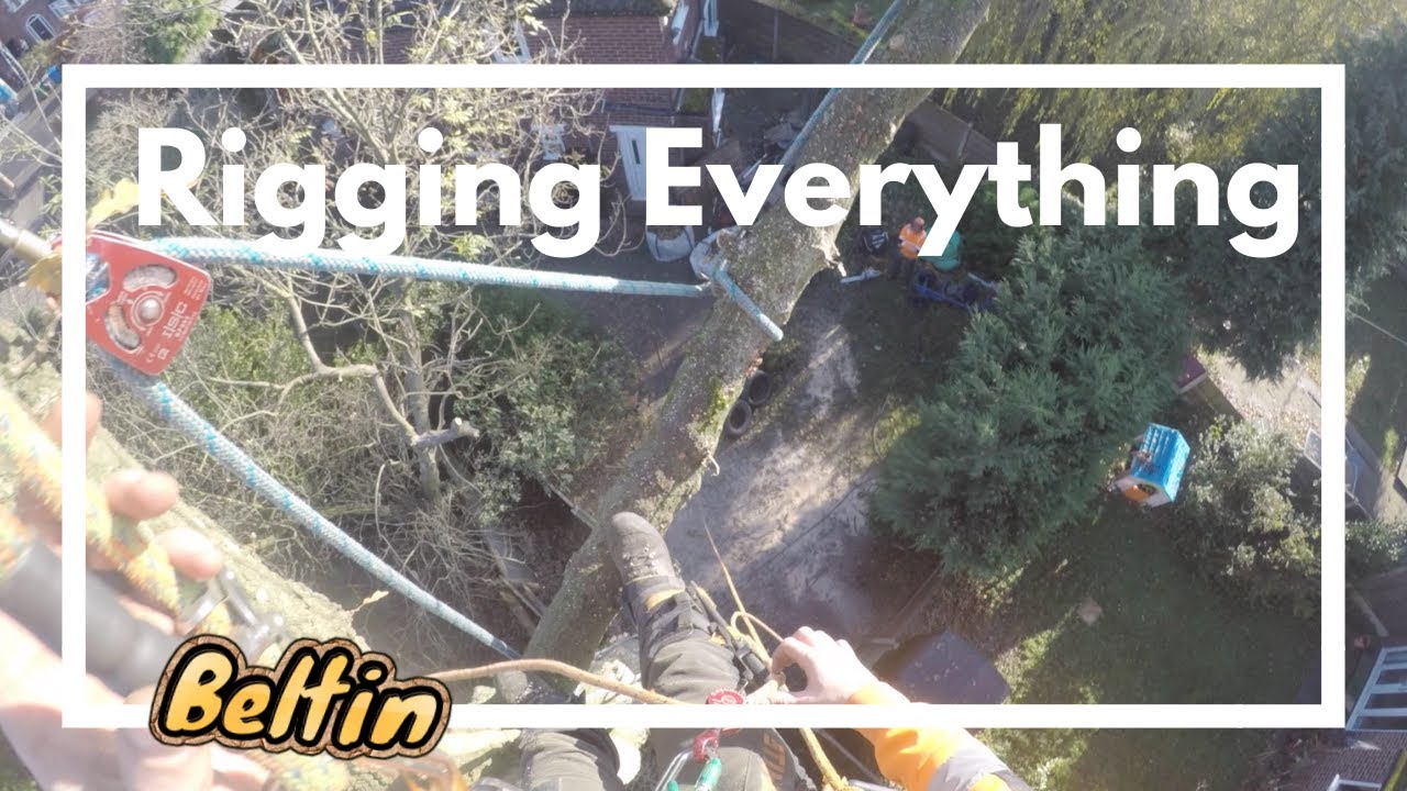 Rigging An Oak Tree Over Four Gardens - YouTube