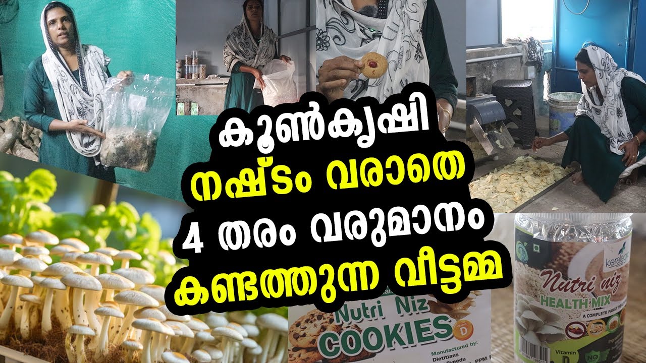 കൂൺകൃഷി നഷ്ടം വരാതെ ചെയ്യാം, ഇതാ പുതുവഴികൾ | Mushroom cultivation can be done without loss | Punalur