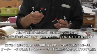 [有機化学の基礎・分子模型] 9. カルボン酸・エステル