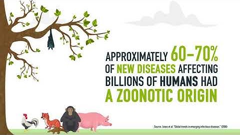 #COVID19 - ZOONOTIC DISEASES ON THE RISE