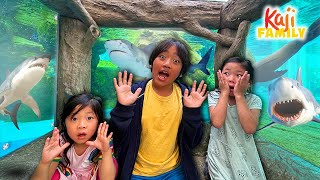 ryan and family visit japan aquarium