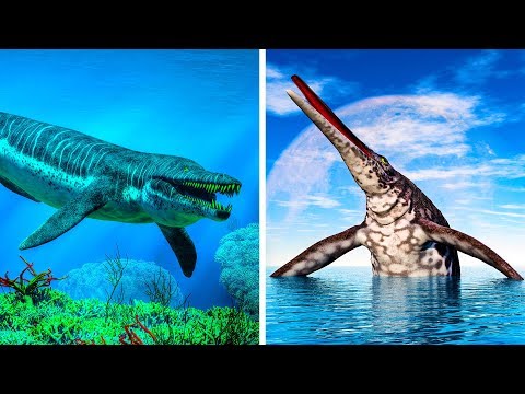 Vídeo: L'ictiosaure és un dinosaure?