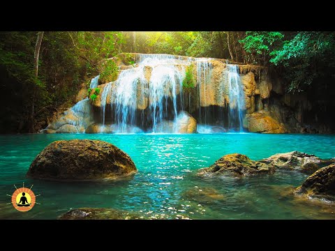 🔴 Relaxing Zen Music 24/7, Stress Relief Music, Sleep Music, Meditation Music, Study, Forest Sounds