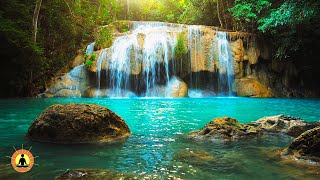 ? Relaxing Zen Music 24/7, Stress Relief Music, Sleep Music, Meditation Music, Study, Forest Sounds