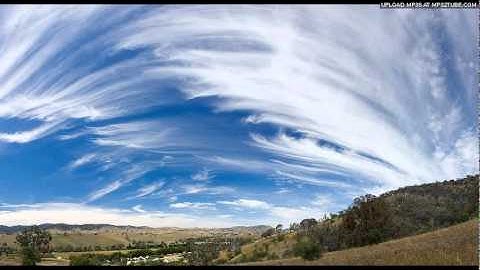 501 - Falling Skies (Never Say Die Records)