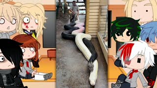 MHA/BNHA Character React to Deku's Pets +more/Viral/Creatures/Funny Trending Tiktok/ Gacha Club #52