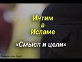 Смысл и высокие цели интимных отношений | Семья в свете Корана и Сунны |  Семья в исламе