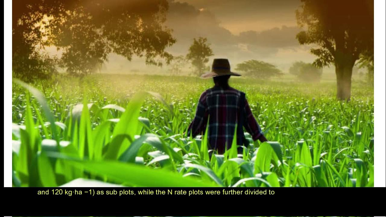 Walk in the fields. Ведическая женщина гуляет по траве картинки. Walking man back. Farmer walk. Walk in the fields.