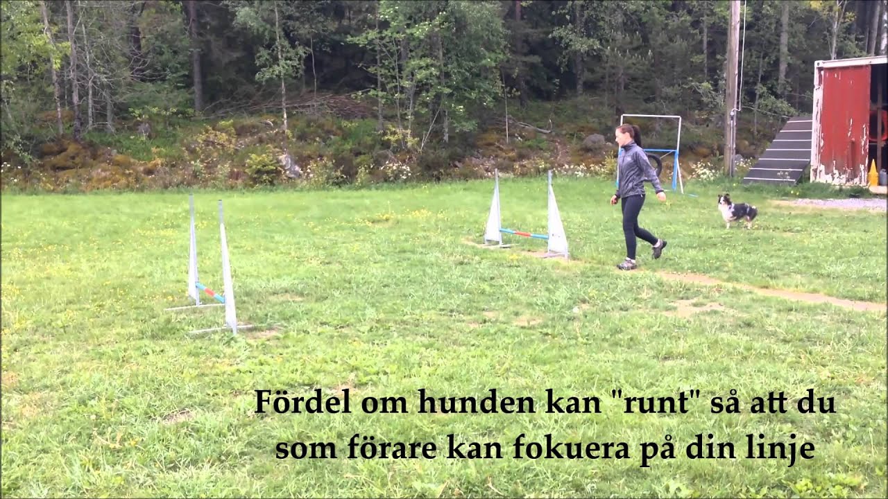 Grunden är grunden - S-sväng, Tysk och Jaakko