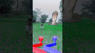 Janto Gore Khetme Four Snake Aa