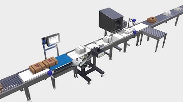 Scanvaegt SV11 Automatic Box Weigher