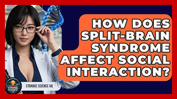 How Does Split-brain Syndrome Affect Social Interaction? - Strange Science HQ