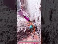 Rotary Wall Scarifier 3000 RPM Surface Leveling Tool for Plaster and Concrete Wall Preparation