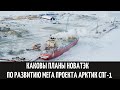 Каковы планы Новатэк по развитию мега проекта Арктик СПГ 1