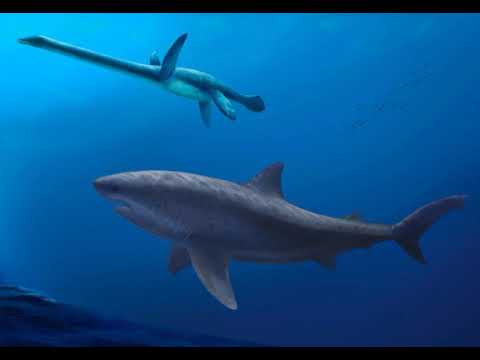 Antigos tubarões gigantes governavam as águas australianas há 115 milhões de anos