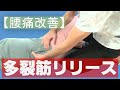 vol.90 【腰痛改善】柔軟性＆安定性⇒腰部多裂筋リリース‼