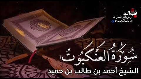 سورة العنكبوت || الشيخ أحمد بن طالب بن حميد