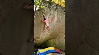 The Shield V12 LRC- Sam Rothstein
