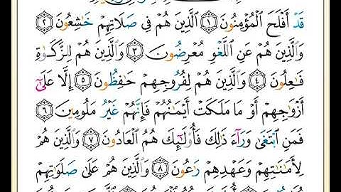 ختمة تلاوة لمصحف التجويد بصوت القارئ محمد حبش الصفحة رقم 342