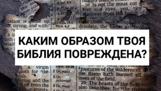 Твоя Библия испорчена? Дэвид Посон