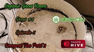Organic Grow Room - Grow 4 - Episode 4 - No Till Indoor - First Tea Part 2