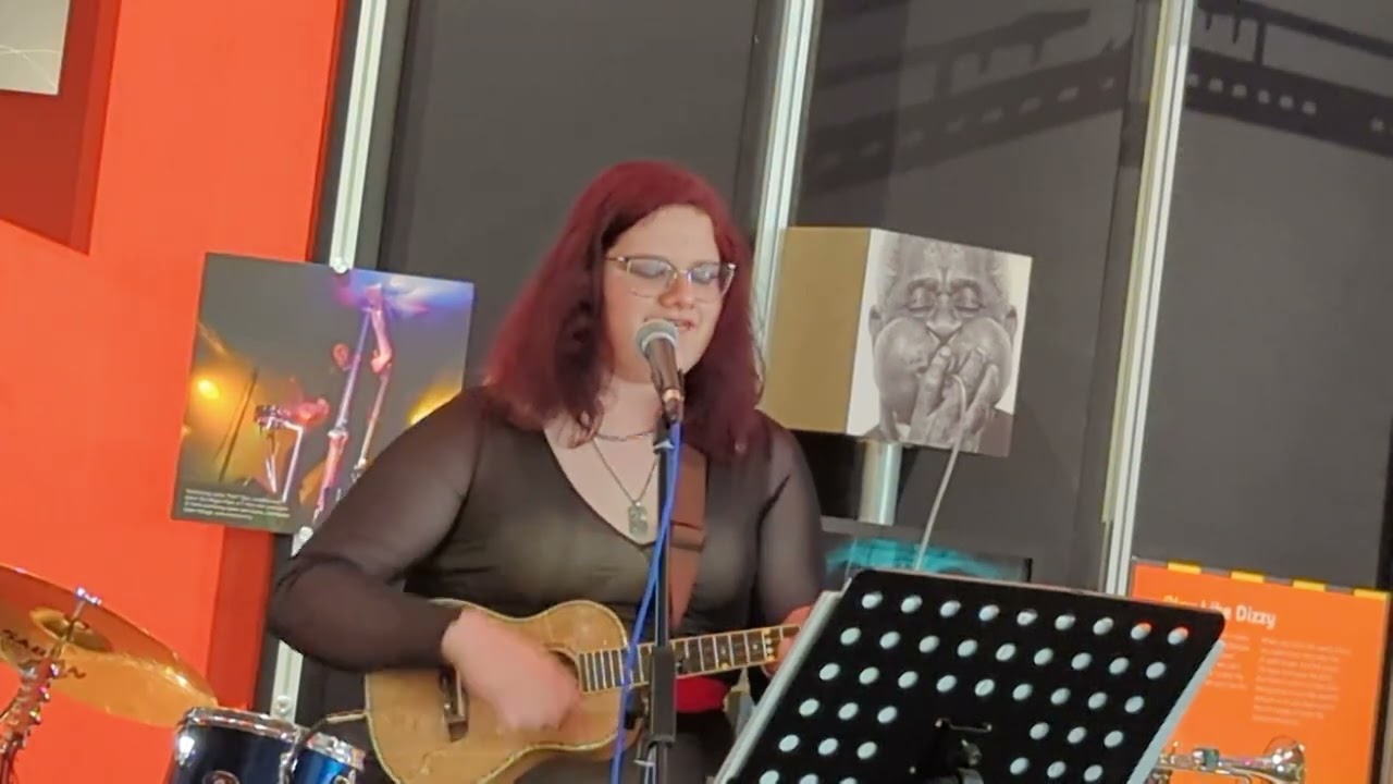 isabel-m-the-saddest-story-ever-told-the-magnetic-fields-youtube