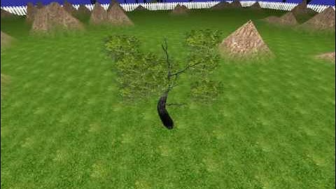 Volumetric trees using billboarding