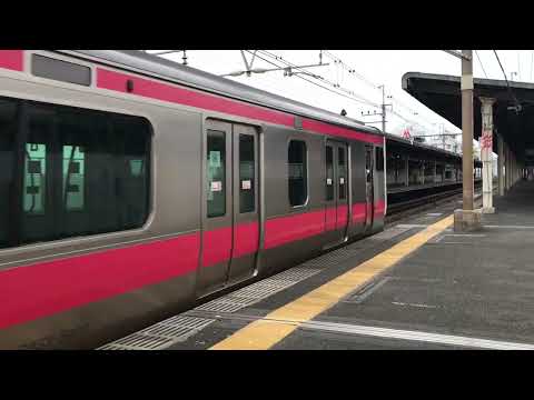 JR京葉線E233系市川塩浜駅通過