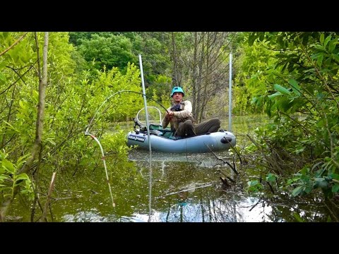Рибалка в укранських джунглях! Виковирюю рибу з конкретних чагарникв!