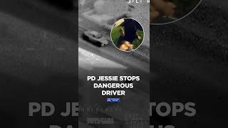 🚓🚁🐕 Tidak ada jalan keluar bagi pengemudi berbahaya
