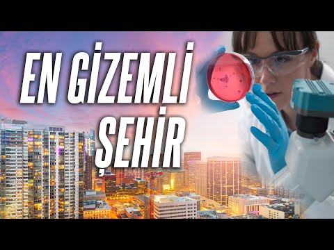 Magic city: Cell