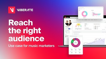 Plan Promotional Campaigns with Viberate | Music Data Analytics Use Case
