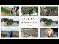 Gav ki sair  nousheen ki reel shooting  hamara gav  village villagevlog shaikhgulnazvlog