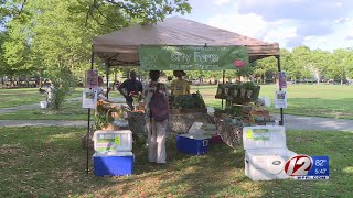 $4.6M grant doubles food stamp value at RI farmers markets