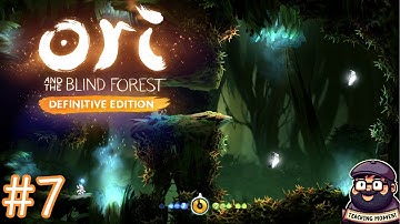 Inside the Ginso Tree | Let