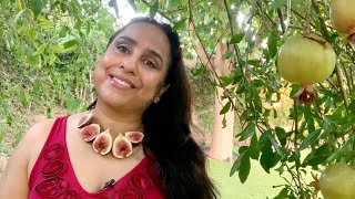 Dhaba style Fresh Fig Banana Milkshake recipe at home