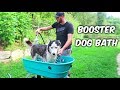 Home Pet Spa or Booster Dog Bath
