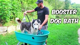 Home Pet Spa or Booster Dog Bath