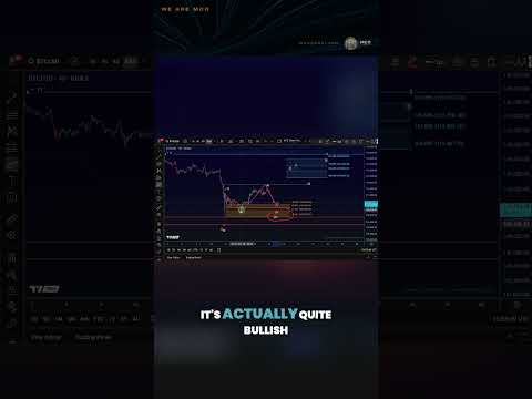 Video preview for Join the MCO Family: