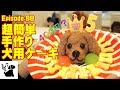 犬用ケーキの作り方　キャバリア88 How to make the dog for a cake.