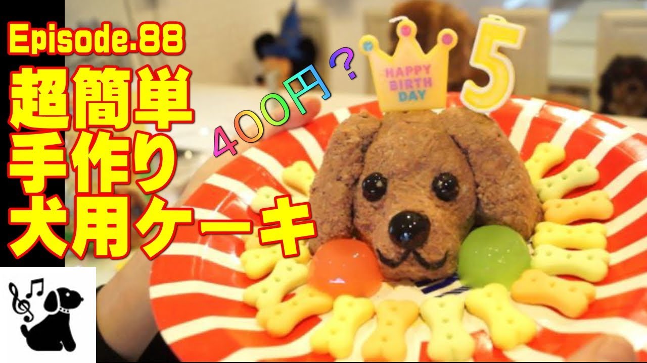 犬用ケーキの作り方 キャバリア How To Make The Dog For A Cake Youtube