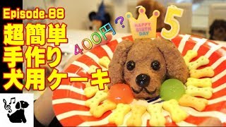 犬用ケーキの作り方　キャバリア88 How to make the dog for a cake.