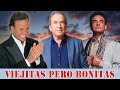 PERALES, JOSE JOSE, ROBERTO CARLOS, JULIO IGLESIAS EXITOS sus Mejores Canciones