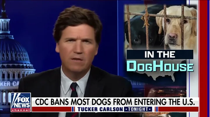 Tucker Carlson talks with Jill Stewart on the CDC ...